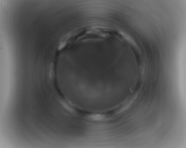 X0000116010361200911251125