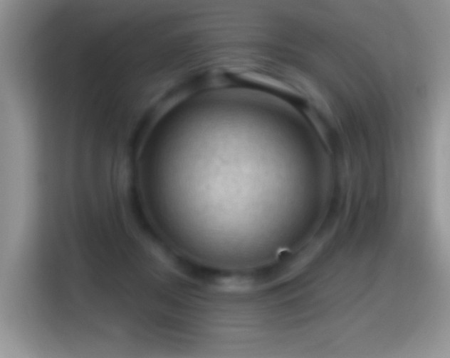 X0000116010362200911251125