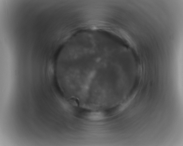X0000116010363200911251125