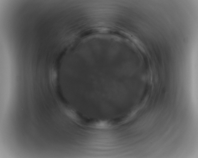 X0000116010365200911251125