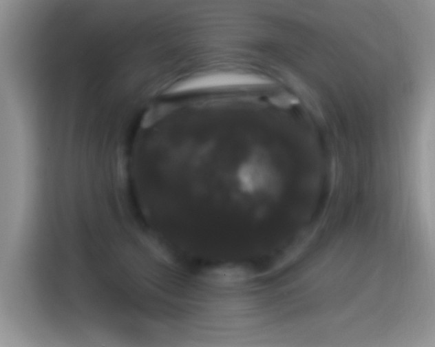 X0000116010366200911251125