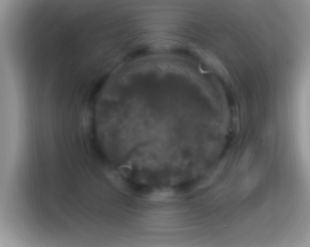 X0000116010369200911251125