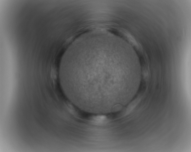 X0000116010374200911251125