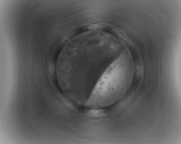X0000116010375200911251125