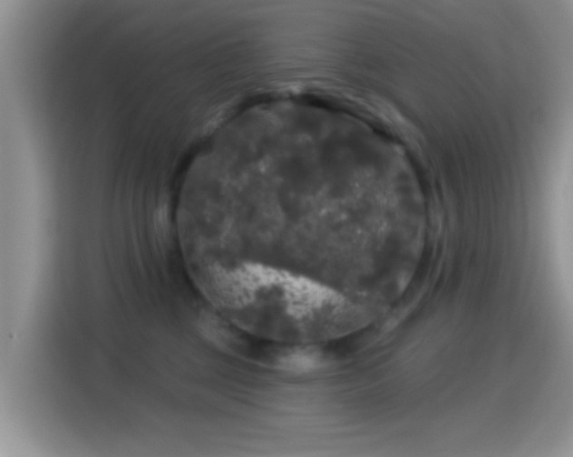 X0000116010377200911251125