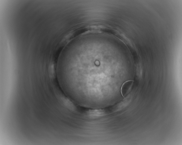 X0000116010378200911251125