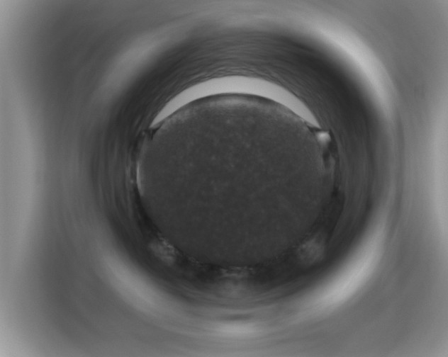 X0000116010382200911251125