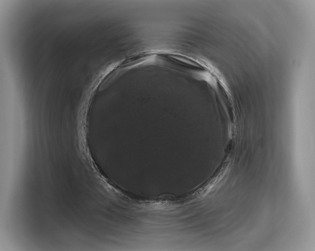 X0000116010385200911251125