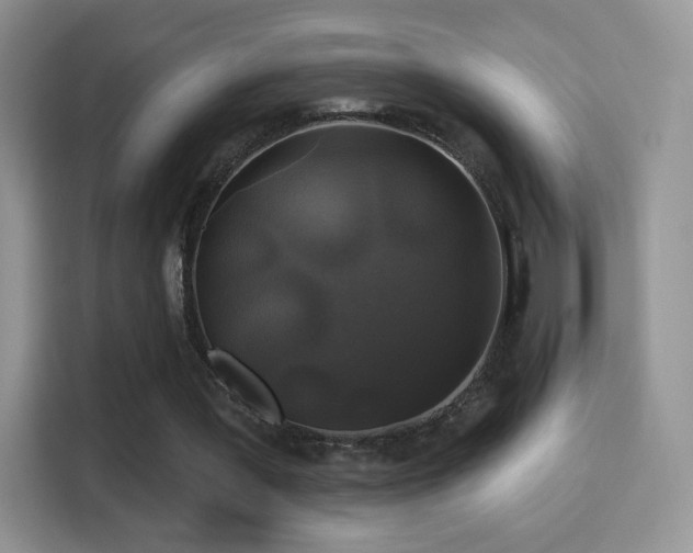 X0000116010387200911251125