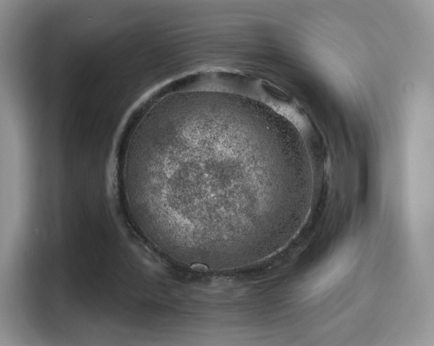 X0000116010388200911251125