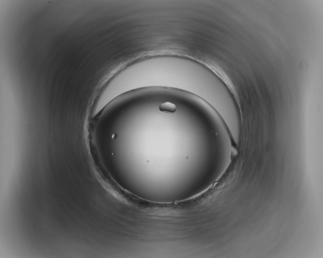 X0000116010389200911251125
