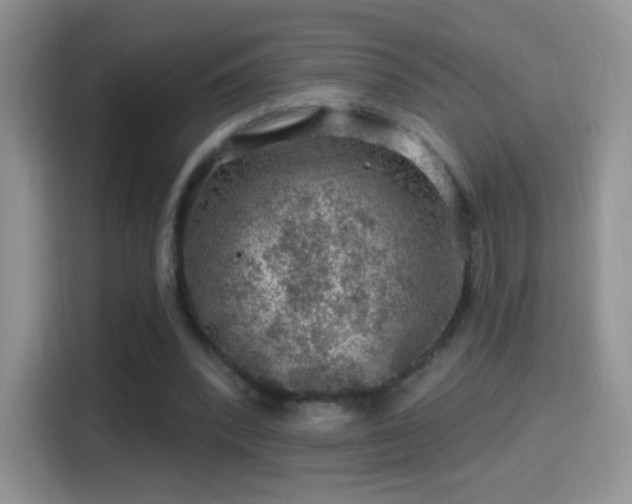 X0000116010392200911251125