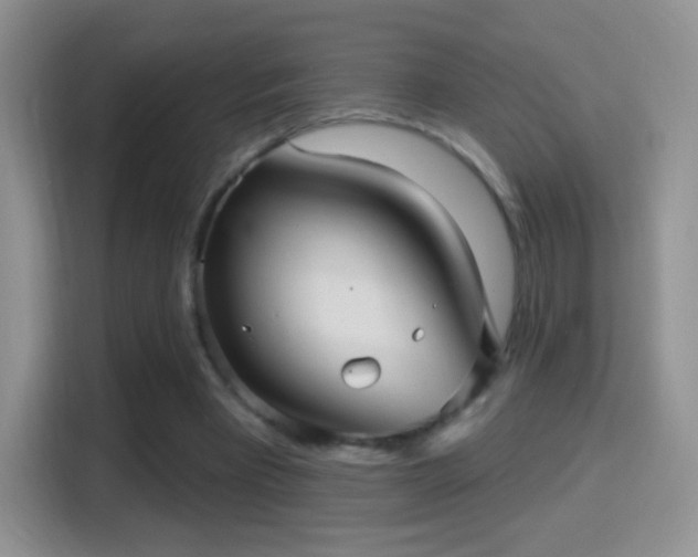 X0000116010393200911251125