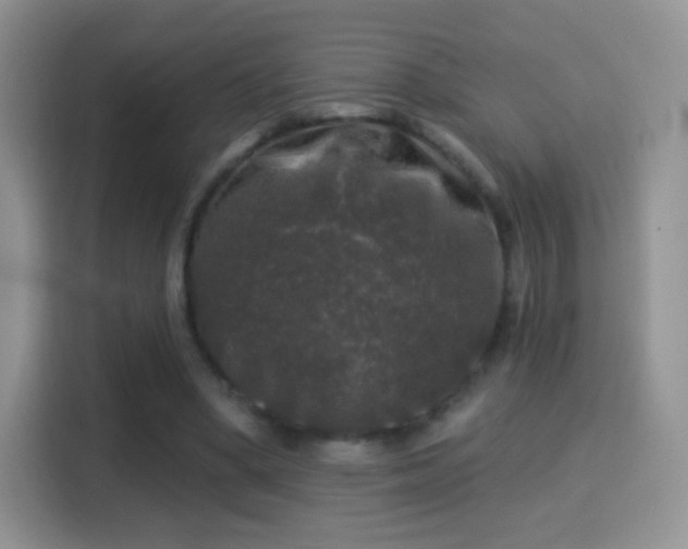 X0000116010394200911251125