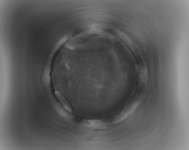X0000116010395200911251125