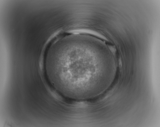 X0000116010396200911251125