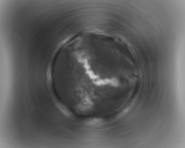 X0000116010398200911251125