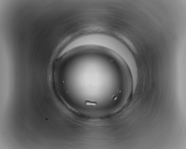 X0000116010399200911251125
