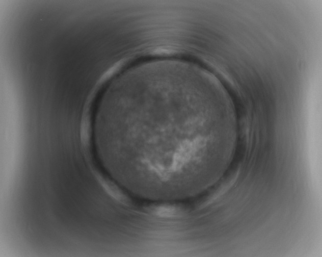 X0000116010400200911251125