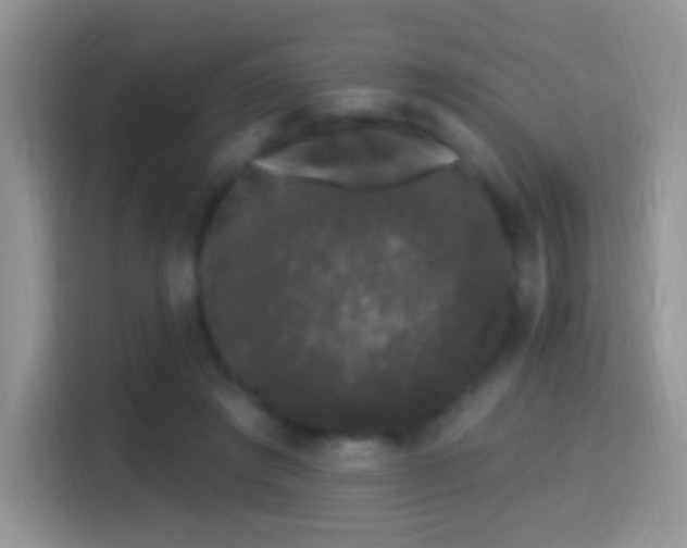 X0000116010401200911251125