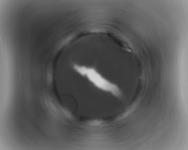 X0000116010402200911251124