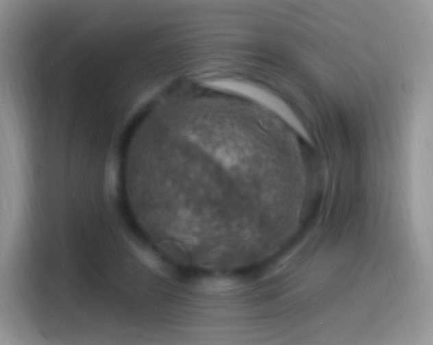 X0000116010404200911251124
