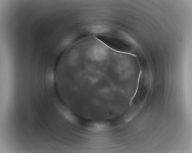 X0000116010405200911251124