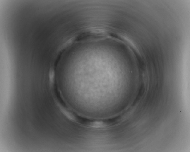 X0000116010406200911251124