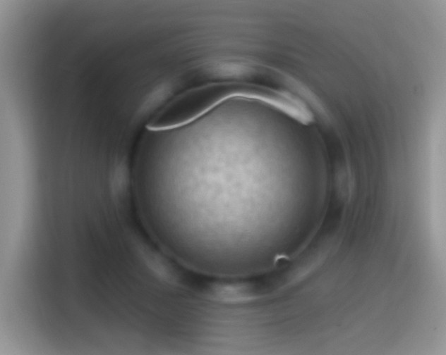 X0000116010407200911251124