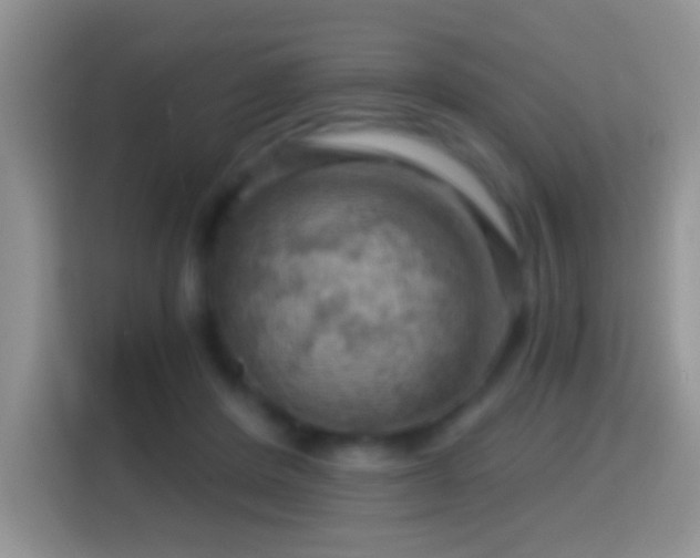 X0000116010408200911251124