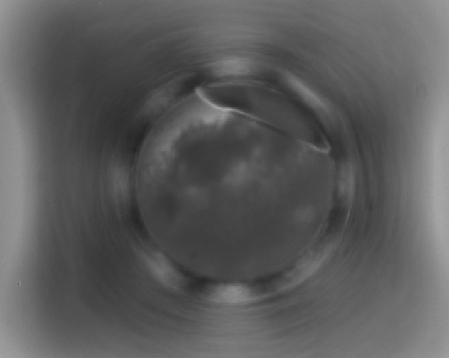 X0000116010409200911251124