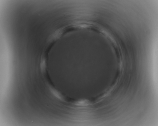X0000116010410200911251124