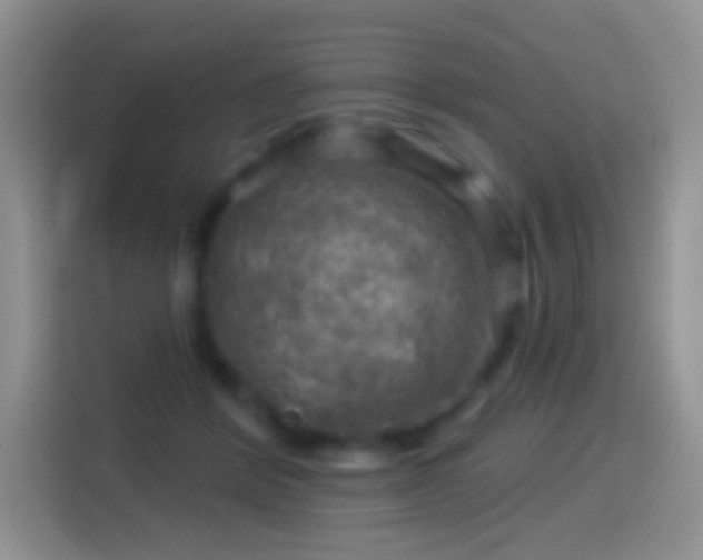 X0000116010412200911251124