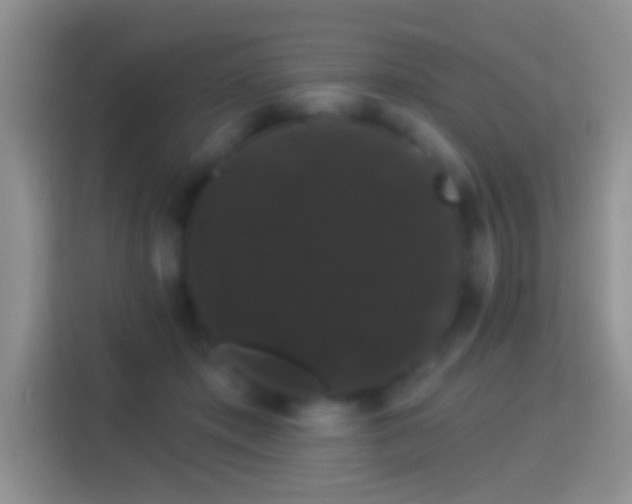 X0000116010413200911251124