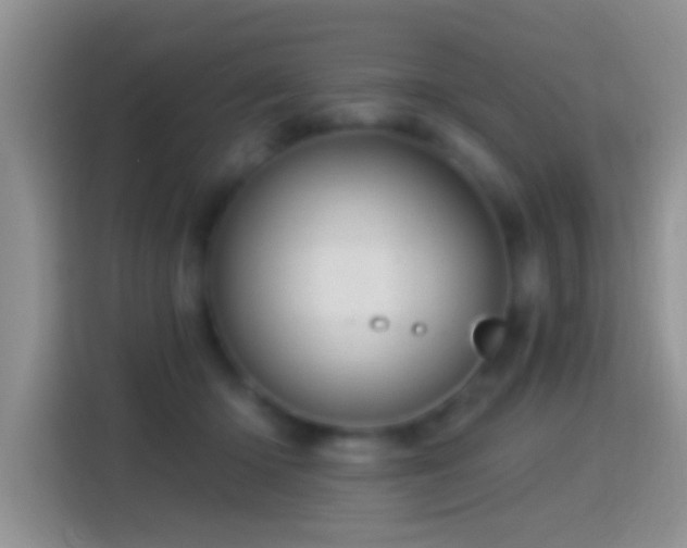 X0000116010414200911251124