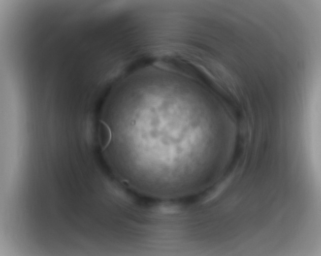 X0000116010416200911251124