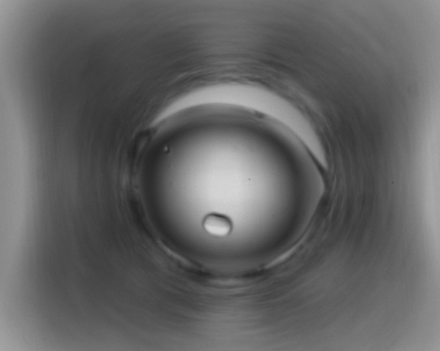 X0000116010417200911251124