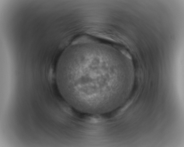 X0000116010420200911251124