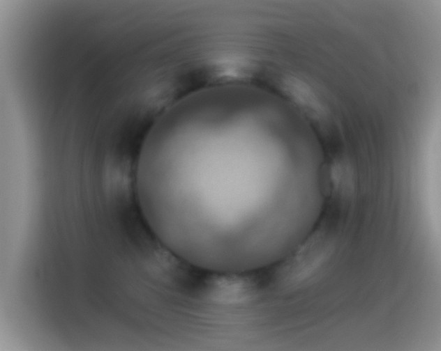 X0000116010423200911251124