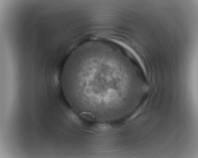 X0000116010424200911251124