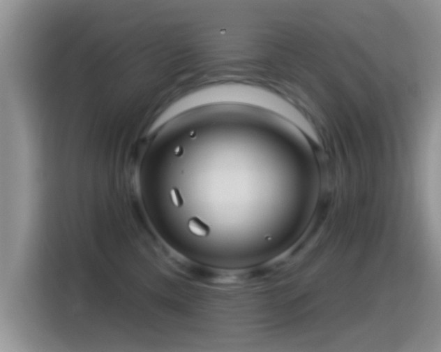 X0000116010425200911251124