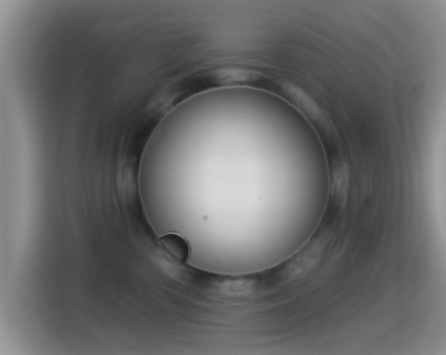 X0000116010426200911251124