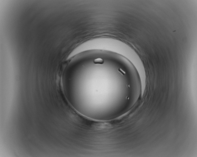 X0000116010427200911251124
