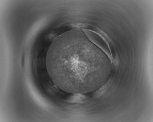 X0000116010429200911251124