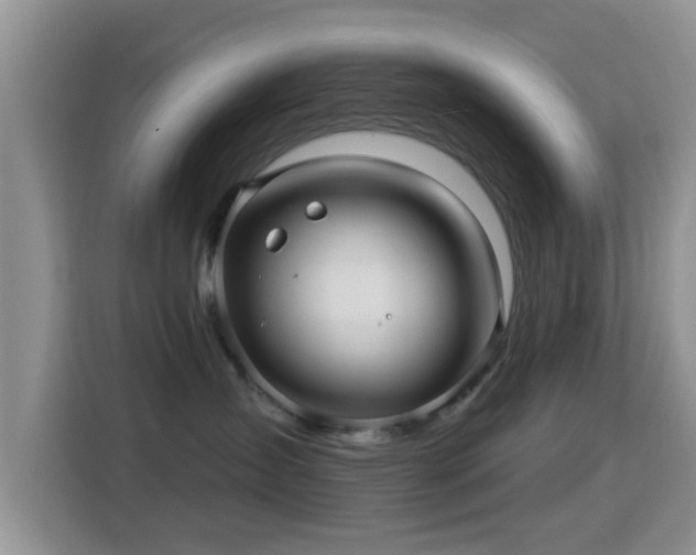X0000116010431200911251124