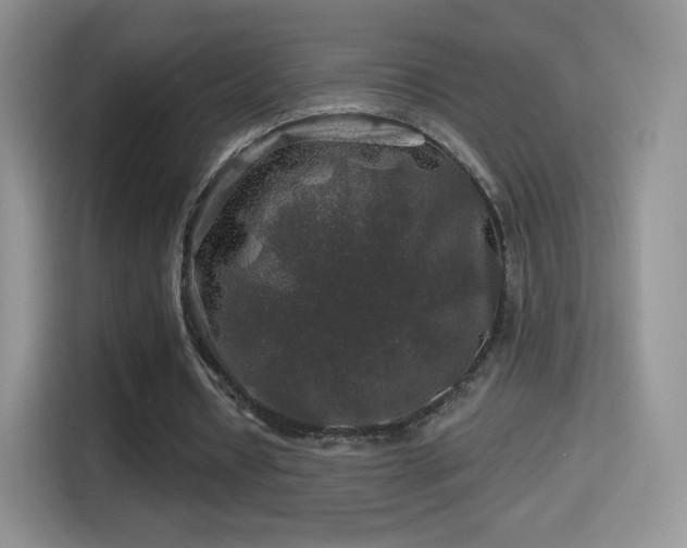 X0000116010434200911251123