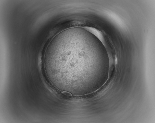 X0000116010435200911251124