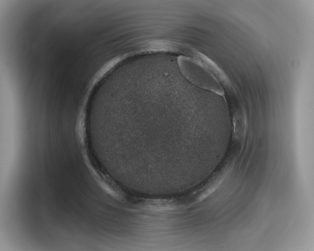 X0000116010436200911251124