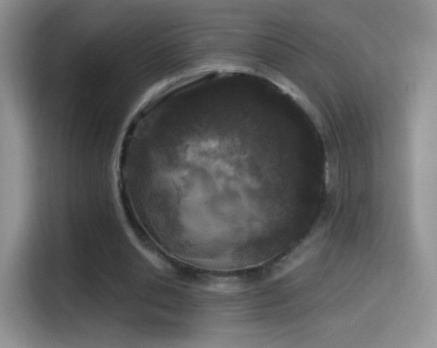 X0000116010438200911251124