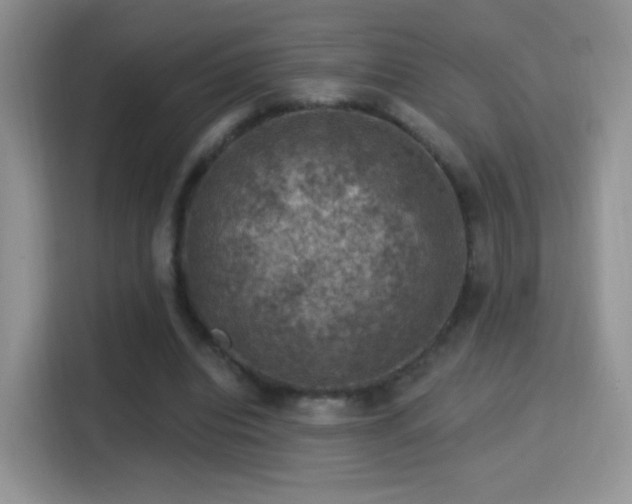 X0000116010440200911251124